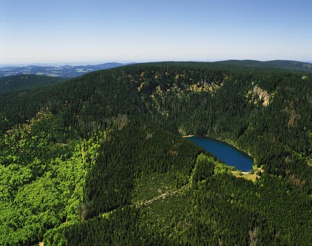 Lesy v 1. zóně Trojmezná kolem Plešného jezera v roce 2006 - zelené.