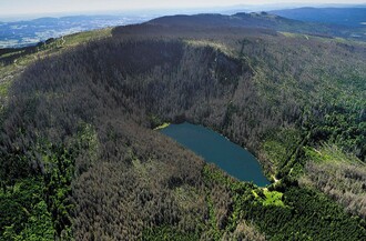Lesy v 1. zóně Trojmezná kolem Plešného jezera v roce 2009 - uschlé.
