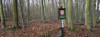 Přírodní rezervace Foto: Michal Klajban Wikimedia Commons