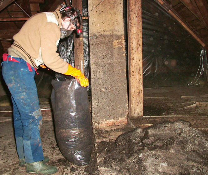 Úklid guána. Úklid guána.