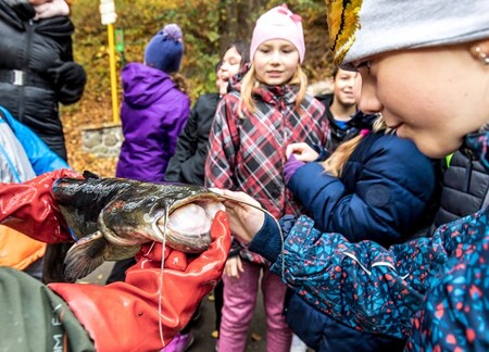 Školáci a handicapovaní vypustili do řeky Bíliny 300 kilogramů ryb.