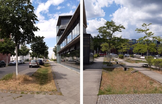 Obr. 20. Odvodnění komunikací v areálu Humboldtovy univerzity do průlehů. Obr. 20. Odvodnění komunikací v areálu Humboldtovy univerzity do průlehů.