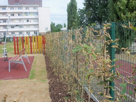 Fotografie ze stavby mateřské školky v Brně. Fotografie ze stavby mateřské školky v Brně.