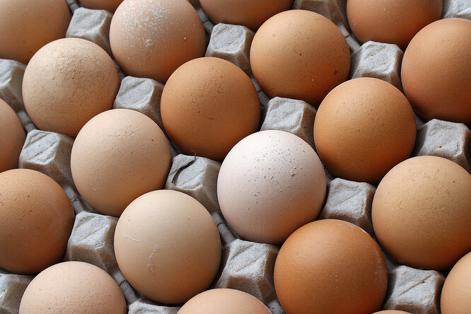 "To, co se v současné době projevuje na trhu s vejci, by se stejně dobře dalo aplikovat na trh s ovocem, obilím či masem," říká emeritní profesor potravinářské politiky z londýnské Městské univerzity Tom Lang.