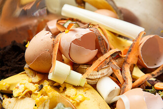 Skořápky od vajec na kompost nedávejte, trvá dlouho, než se rozloží. Dejte je někomu, kdo chová slepice.