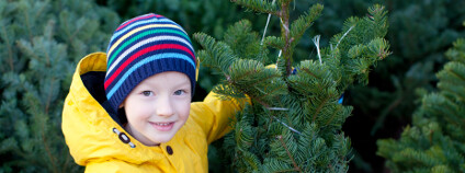 Nakupování vánočního stromku Foto: Aleksei Potov / Shutterstock