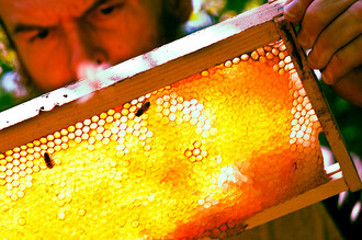 ANO zmiňuje přínos spolků včelařů, rybářů, myslivců, zahrádkářů, chovatelů drobného zvířectva a dalších