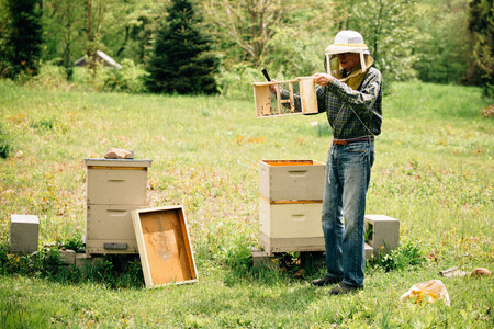 Včelař musí krmit včely v závislosti na počasí, ročním období a stavu zásob, ve vhodný okamžik přidávat plásty do úlu a vytáčet med. Rozumět náladě včelstva. A také vědět o dalších včelařích a zemědělských činnostech v okolí.