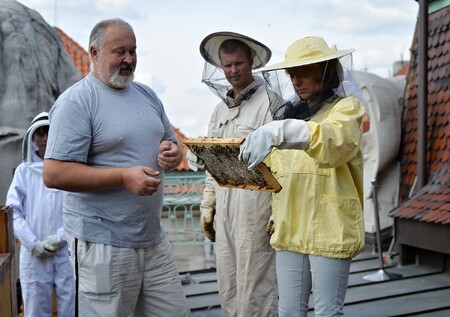 Adriana Krnáčová si za asistence včelaře Zděňka Růžičky prohlíží magistrátní včelstvo.
