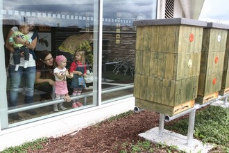 Do včelaření se pustilo i obchodní centrum na pražském Chodově. Včely jsou od veřejně přístupných prostor odděleny sklem, a tak je mohou bez jakéhokoli nebezpečí pozorovat i samotní návštěvníci centra