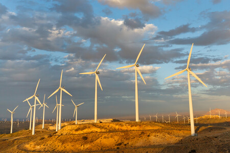 Nejčastější využití větrné energie je v podobě větrných elektráren. / Na snímku větrná farma v Kalifornii