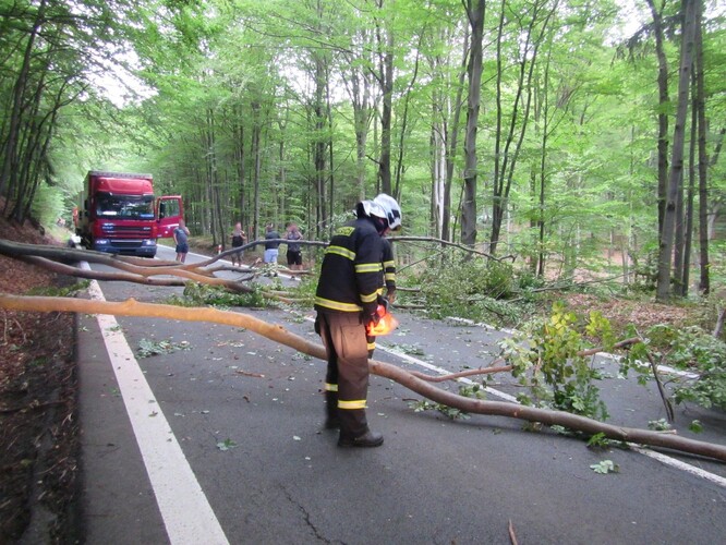 Spadlý strom blokoval v obou směrech hlavní silnici mezi městy Zlín a Vsetín.