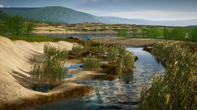 Vizualizace břehu jezera ČSA pro variantu využití přirozené obnovy (autor )