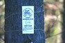 Cedulky na stromech mají "varovat" myslivce, že je vlčí hlídky sledují.