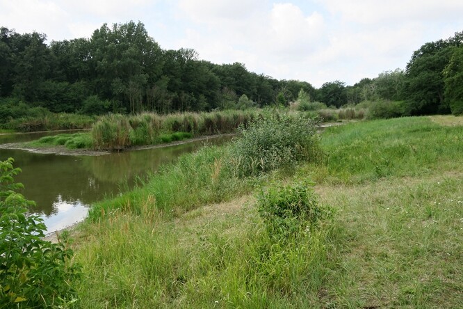 Rybník Rendez-vous je součástí Národní přírodní památky Rendez-vous. BR Dolní Morava, o.p.s. připravila projekt na jeho revitalizaci.