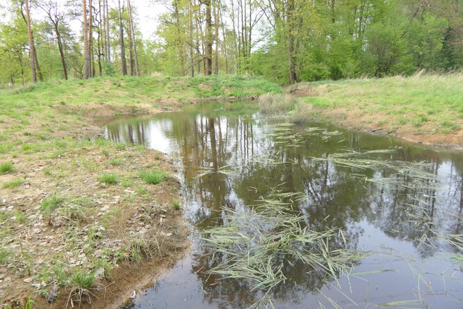 První tůně „na Sahaře“ byly vybudovány před 12 lety. První tůně „na Sahaře“ byly vybudovány před 12 lety.