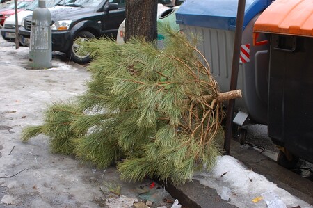 Vyhozený vánoční stromek nepatří ke kontejnerům s tříděným odpadem, ale k popelnicím.