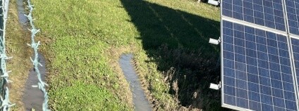 Foto: ČSOP Foto: ČSOP