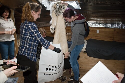 Fiktivní domovní prohlídka