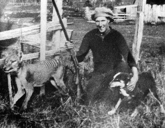 Wilfred Batty z Mawbanny v Tasmánii s posledním známým vakovlkem tasmánským zastřeleným ve volné přírodě. Vakovlka zastřelil v květnu 1930 poté, co jej našel v kurníku.