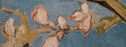 Vincent van Gogh - Kvetoucí jabloně Foto: Wikimeda Commons