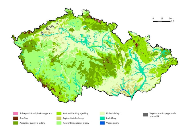 Obr. 1. Mapa přirozené vegetace Česka. K tomuto stavu by se krajina navrátila, pokud bychom přestali konvenčně hospodařit. Potenciální přirozená vegetace, vlastní zpracování. Zdroj dat