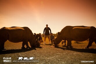 Jao Ming pózuje mezi dvěma severními bílými nosorožci v keňské rezervaci Ol Pejeta