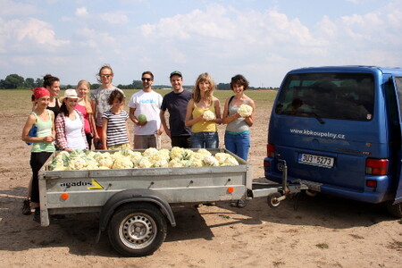 Během léta se iniciativě podařilo zorganizovat pět výjezdů k ochotným zemědělcům a pomocí 40 dobrovolníků u nich zdarma nasbírat, nebo tzv. paběrkovat", přes dvě tuny mrkví, salátů, kedlubnů a brambor
