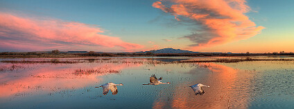 Příroda není umělecké dílo. A to ani ve chvílích, kdy nám například západ slunce připadá „kýčovitý“. Na ilustračním snímku západ slunce na Bosque del Apache. Foto John Fowler / Flickr