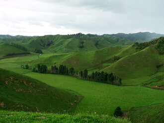 Celkově je novozélandská antropogenizovaná pastevní krajina smaragdově zelená, s četnými kopci, bezmrazá, deštivá, s nízkou oblačností a zvraty počasí, tak na způsob Irska, v zahrádkách vydrží i datlové palmy a citrusy, ale obrostlé lišejníky vypadají smutně… Ilustrační snímek z oblasti Taranaki Hills