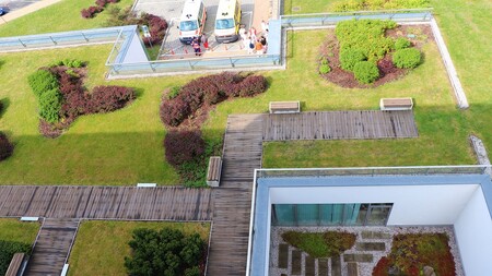 Město Plzeň dá poprvé peníze na vybudování zelené střechy na soukromém domě. Zelené střechy už jsou v Plzni také v areálu fakultní nemocnice na onkologickém pavilonu a na parkovacím domě (na snímku).