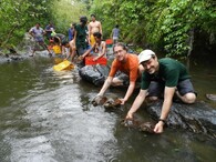 vypouštění želv filipínských do volné přírody