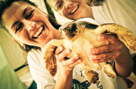 To je ale krásná želva, pojďme ji zachránit. Karety patří mezi ty charizmatické druhy, které nemají o ochranáře nouzi.