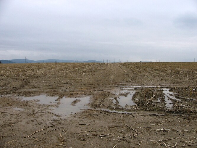 Zemědělská poušť mezi Přešticemi a Horní Lukavicí (jižní Plzeňsko). Odtud tečou erozní splachy i zbytky hnojiv a pesticidů do řeky Úhlavy – a do plzeňské vodárny.