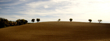 Zemědělská krajina Foto: alpha du centaure Flickr