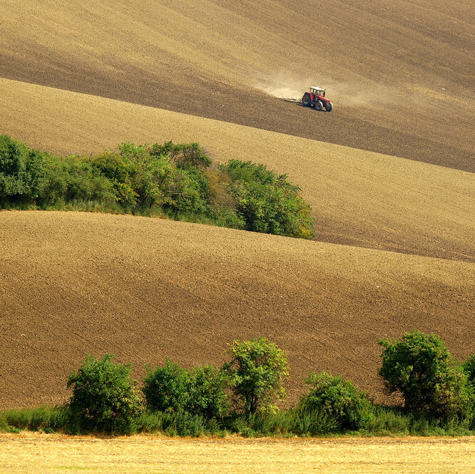 Velikost půdních bloků je legislatovou daná na amximálních 30 ha. Praha na svých zemědělských pozemcích zkouší maximum 5 hektarů.
