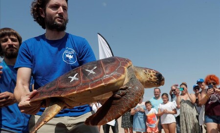 Na jihovýchodním pobřeží Španělska a na Baleárských ostrovech zahájili ochránci zvířat s místními úřady kampaň nazvanou Želvy ve Středomoří.