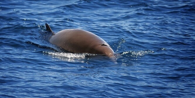 Ilustrační foto Ilustrační foto