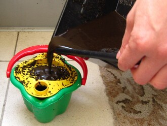 Slévání tzv. žížalího čaje, výborného tekutého hnojiva. Jím se dají rostliny v bytě přihnojovat pravidelně po celý rok
