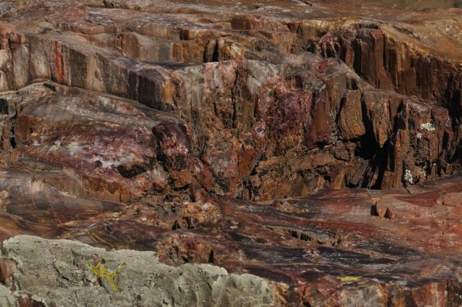 Obecně dřevu trvá sto let, než zkamení, což se musí stát před jeho rozkladem. Na obrázku zkamenělé stromy na ostrově Lesbos.
