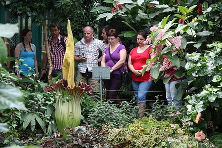 Botanická zahrada v Liberci zůstává zřejmě jako jediné turistické centrum v regionu otevřené. / Ilustrační foto