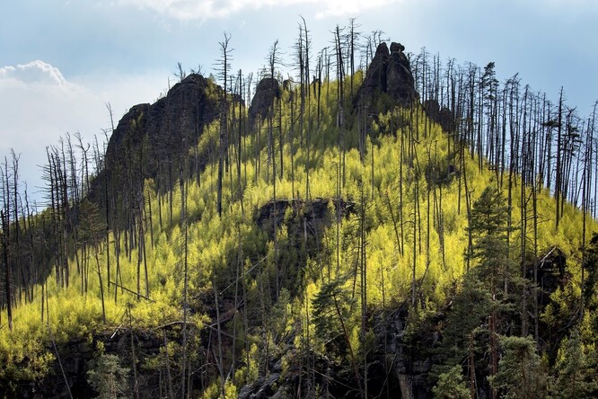 Nepřístupnost skalnatého terénu zhoršuje podmínky pro kontrolu šíření požáru.