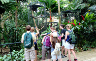 Zoo Ave na Kostarice