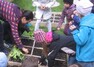 Jednoduchý a jasný systém pěstování, při kterém vznikají pestré záhony, může být inspirací také pro komunitní nebo školní zahrady. Na obrázku zakládání čtverečkové zahrádky v Základní škole v Praze-Lysolajích