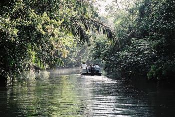 Národní park na řece Tortuguero, Kostarika.