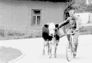 Mlad�� Jan Koukal