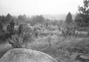 RajchĂ©Ĺ™ov