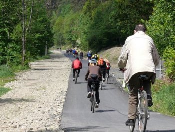 Cyklisté na cyklostezce.