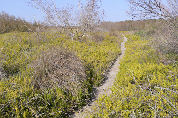 Národní park Everglades