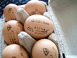 Bio vejce firmy Abatis